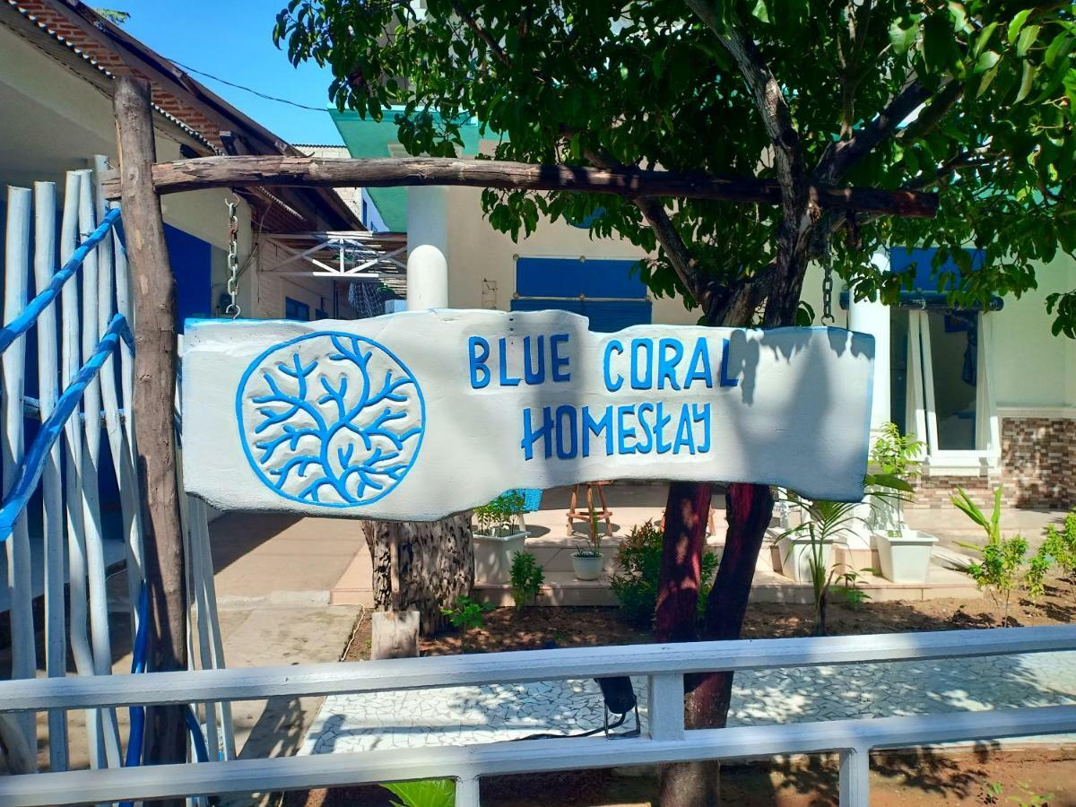 Blue Coral Homestay 카리문자와 외부 사진